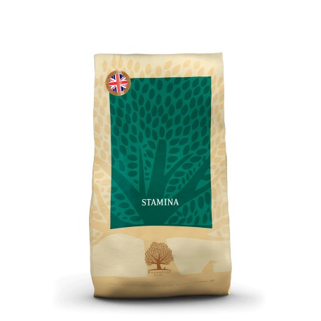 ESSENTIAL STAMINA 10 kg